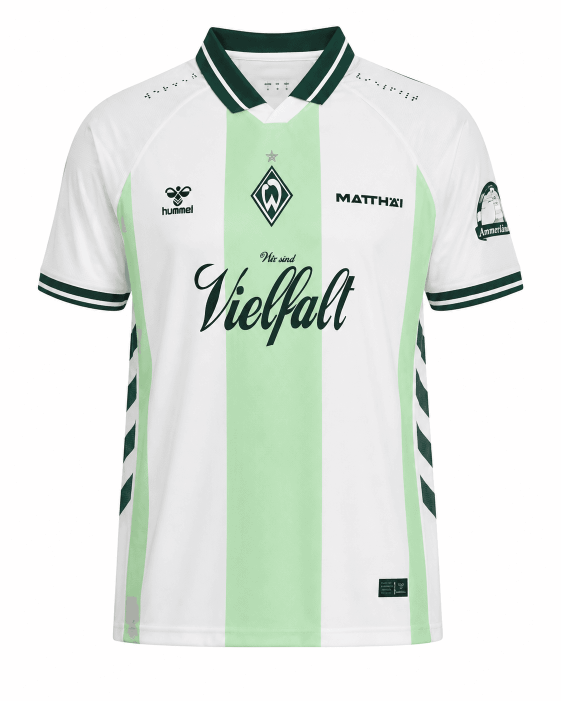 Maillot Werder Brême 2026/2027 Édition spéciale blanc et vert face
