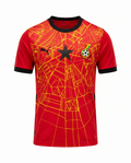 Maillot Ghana 26/27 Edition speciale