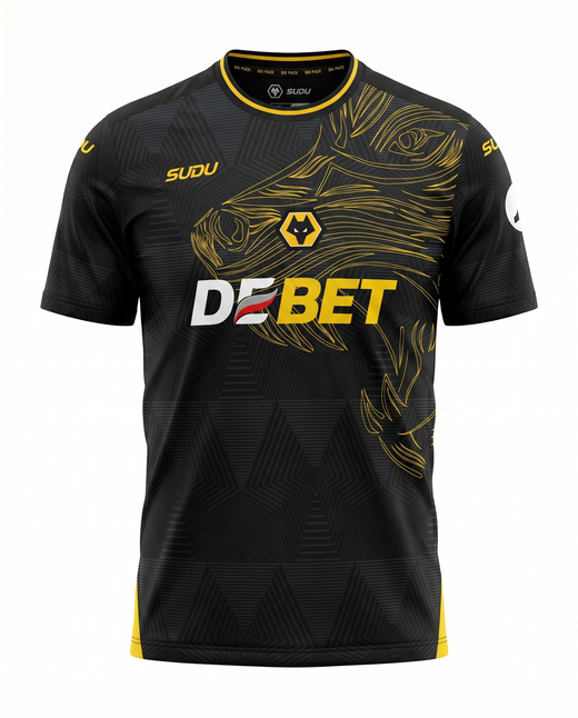Maillot Wolves 24/25 Exterieur