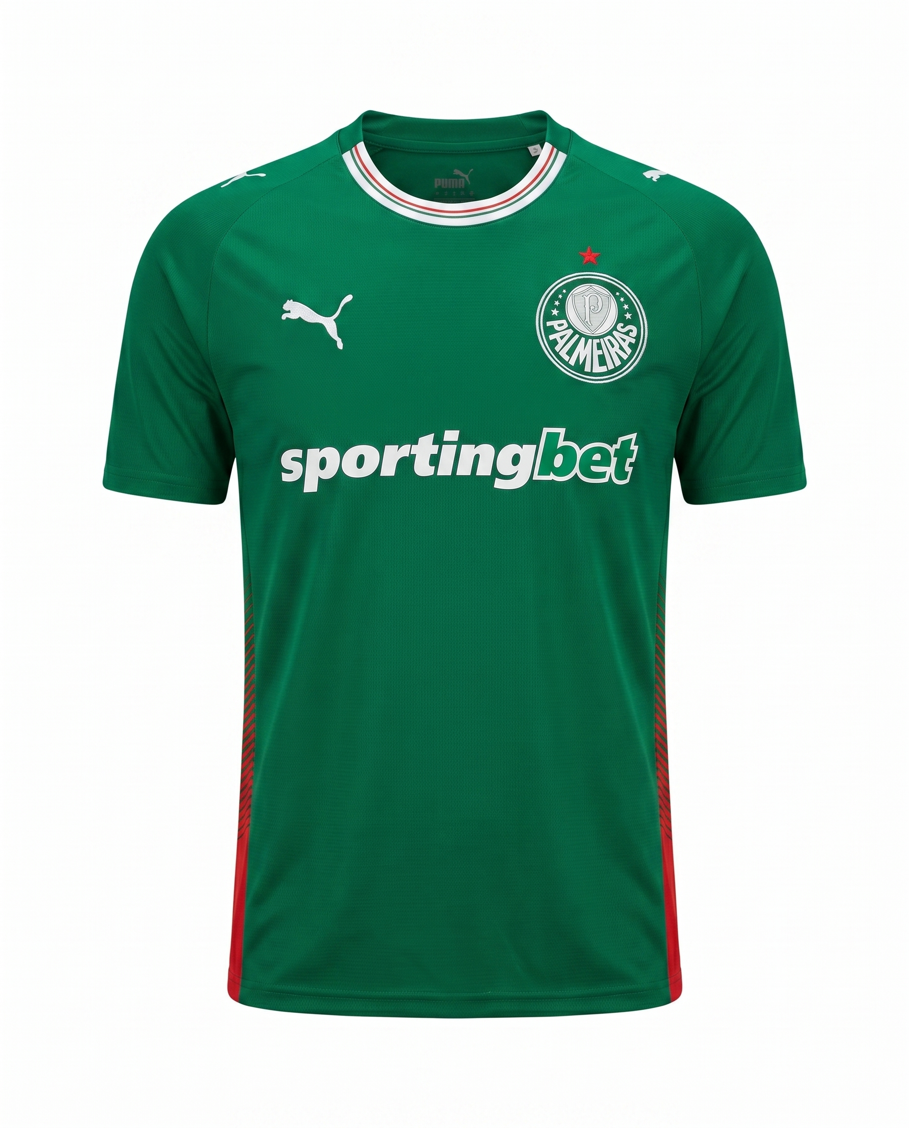 Maillot Palmeiras 26/27 Domicile