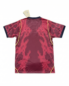 Maillot Bresil 26/27 Entrainement