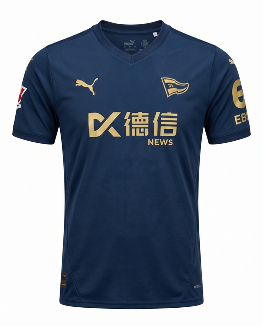 Maillot Alaves 24/25 Troisieme