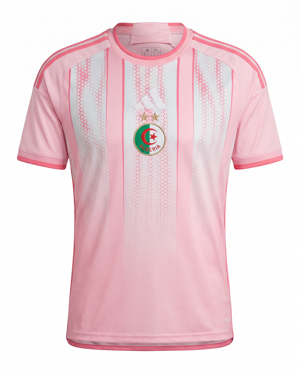 Algerie Concept Rose