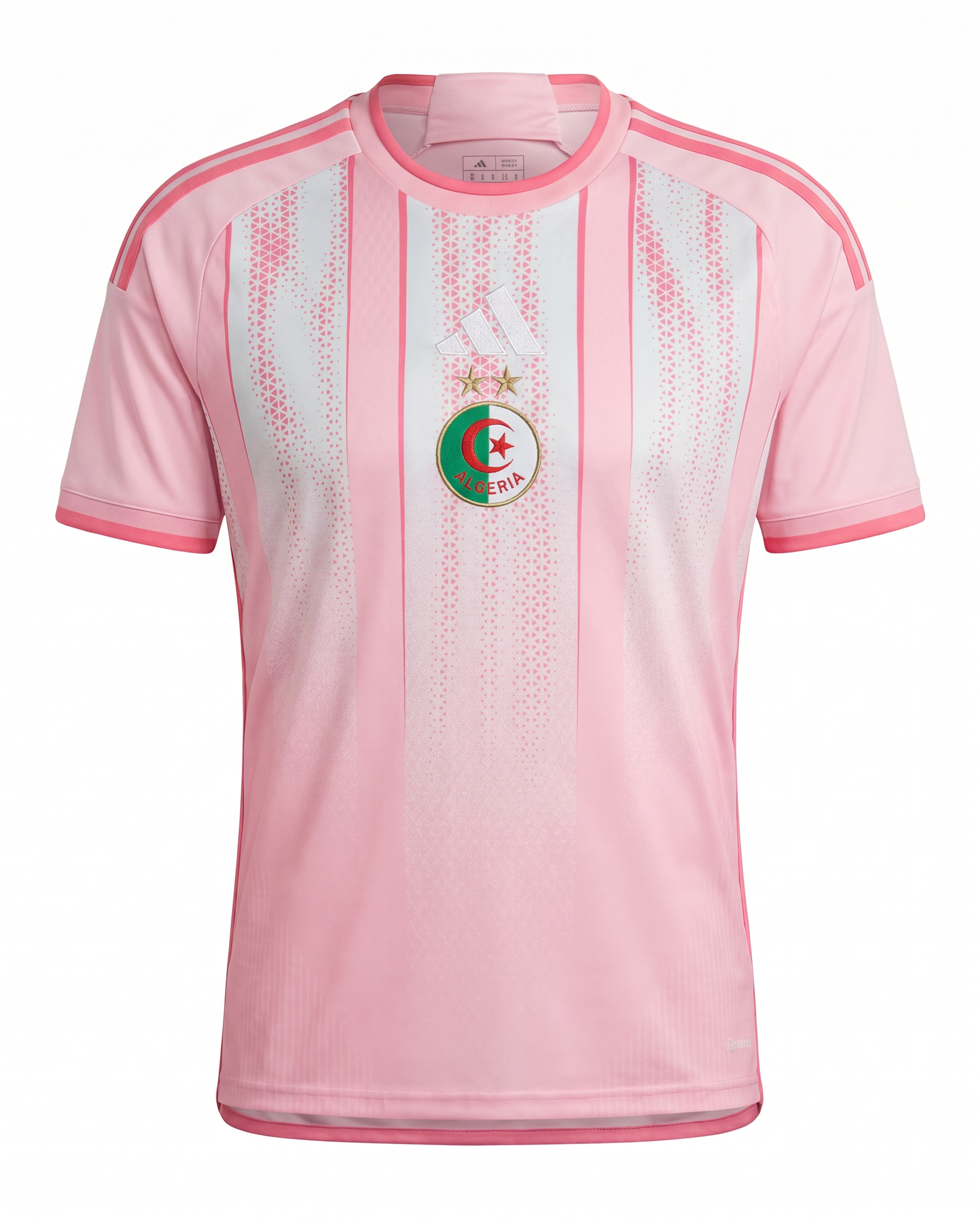Algerie Concept Rose