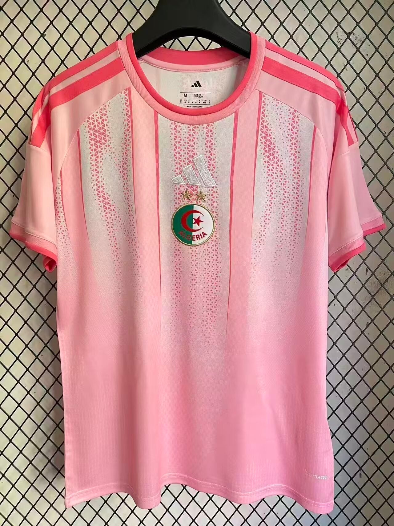 Algerie Concept Rose