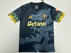 Aston Villa Concept