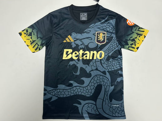 Aston Villa Concept