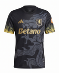 Aston Villa Concept