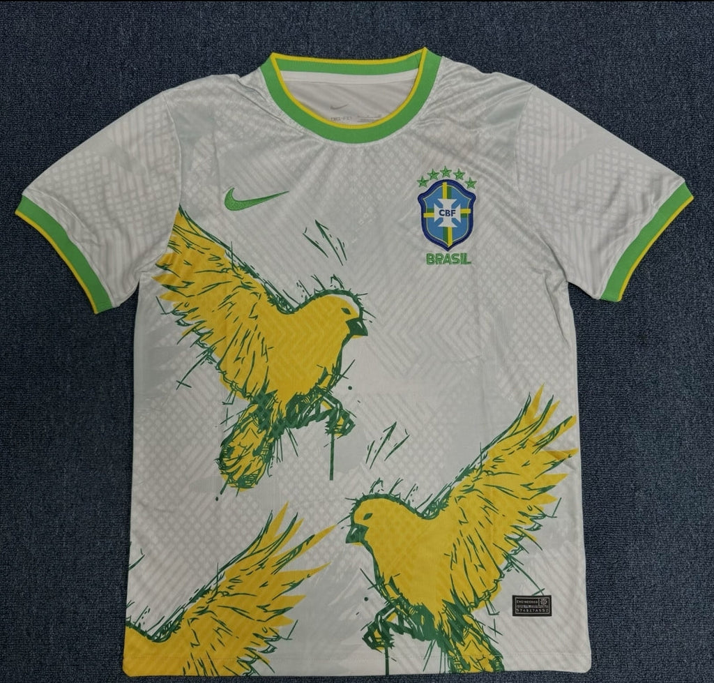 Brésil Concept