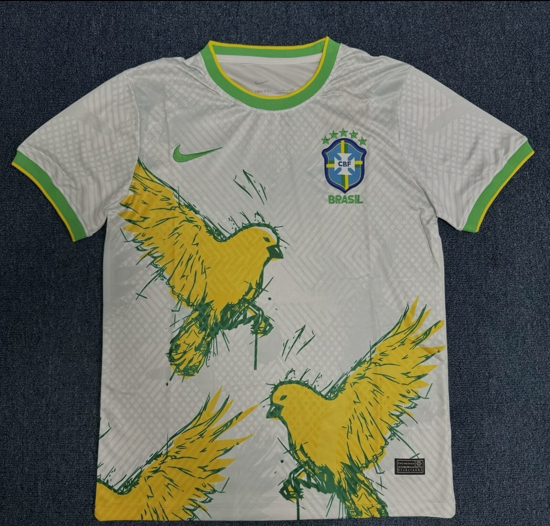 Brésil Concept