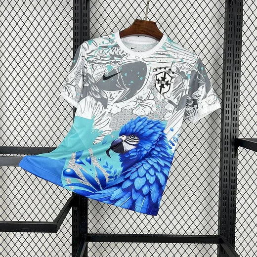 Brésil Concept