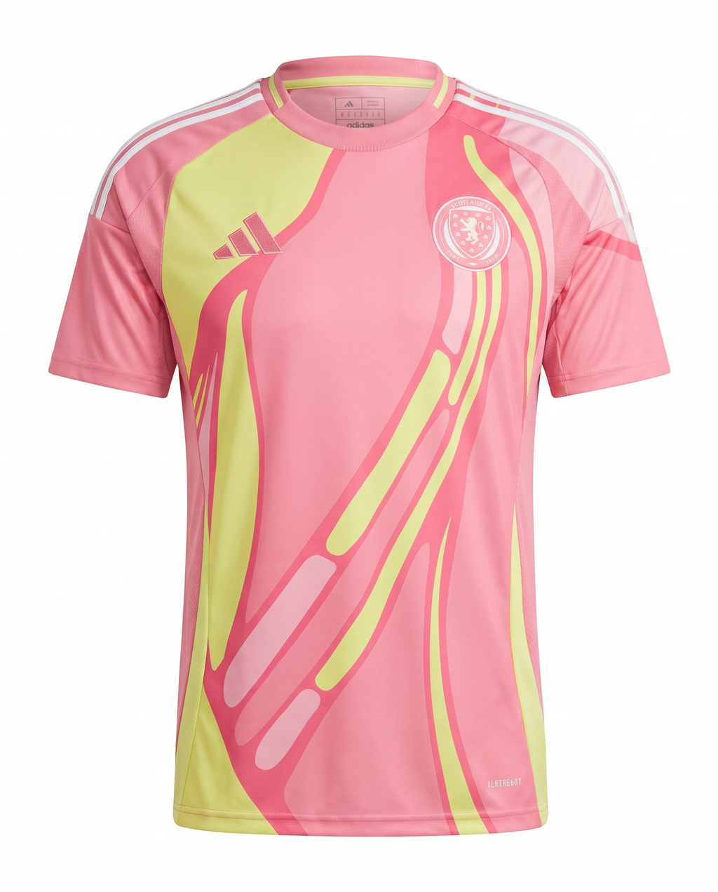 Ecosse 2025-2026