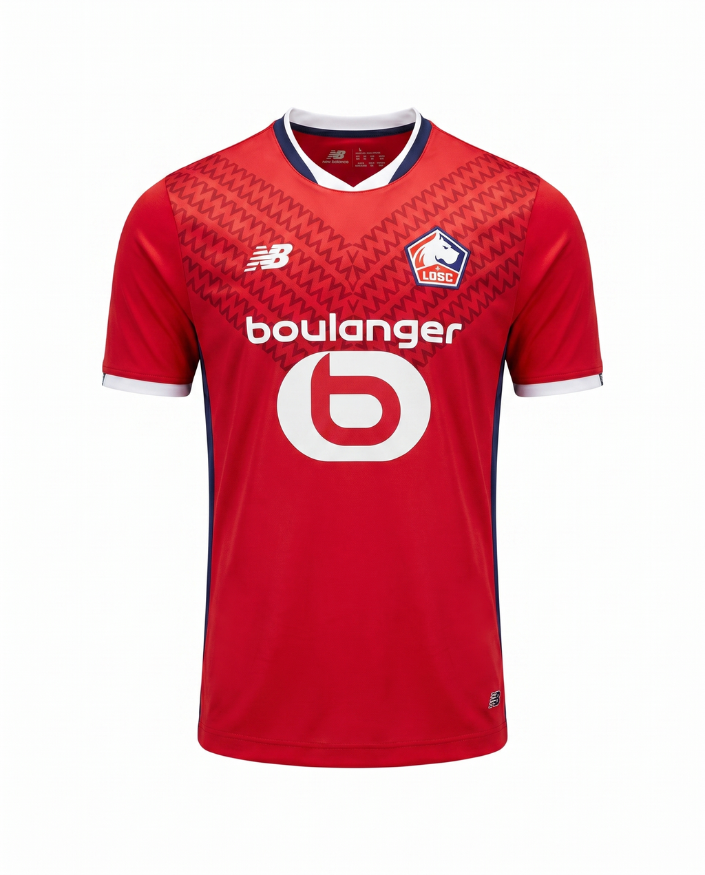 Lille Domicile 2024-2025