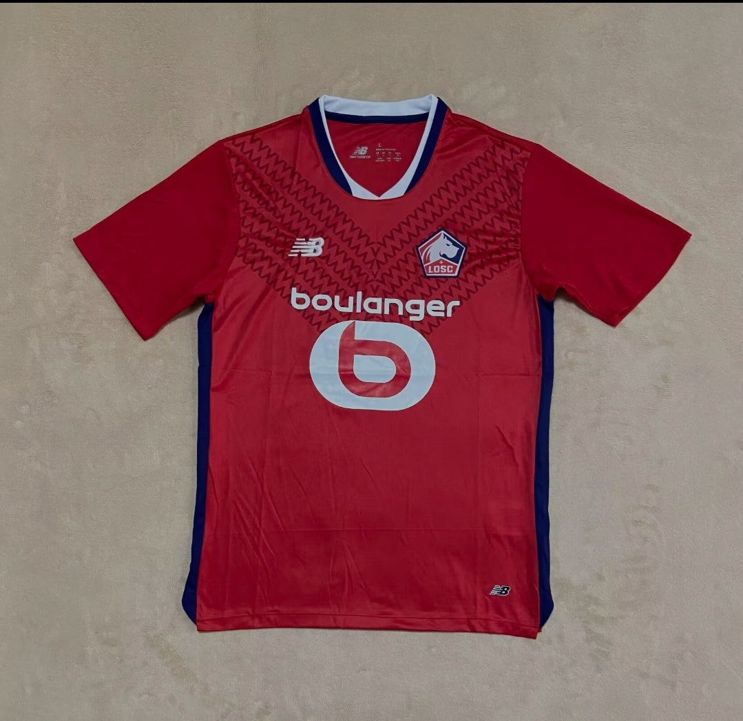 Lille Domicile 2024-2025