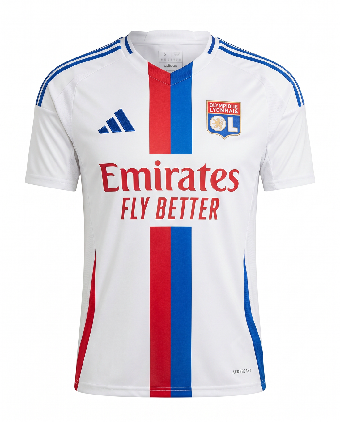 Lyon Domicile 2024-2025