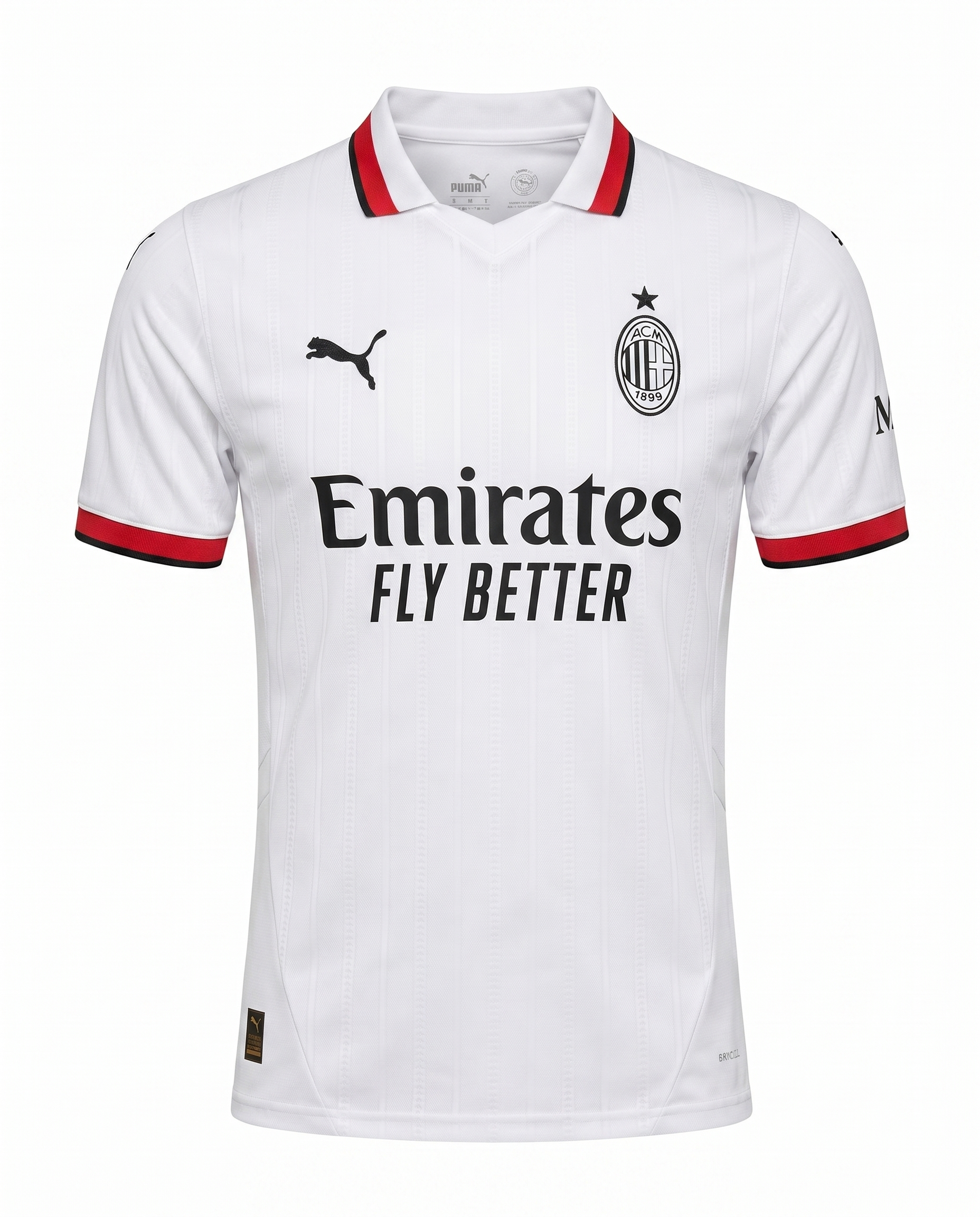 Milan 2024-2025