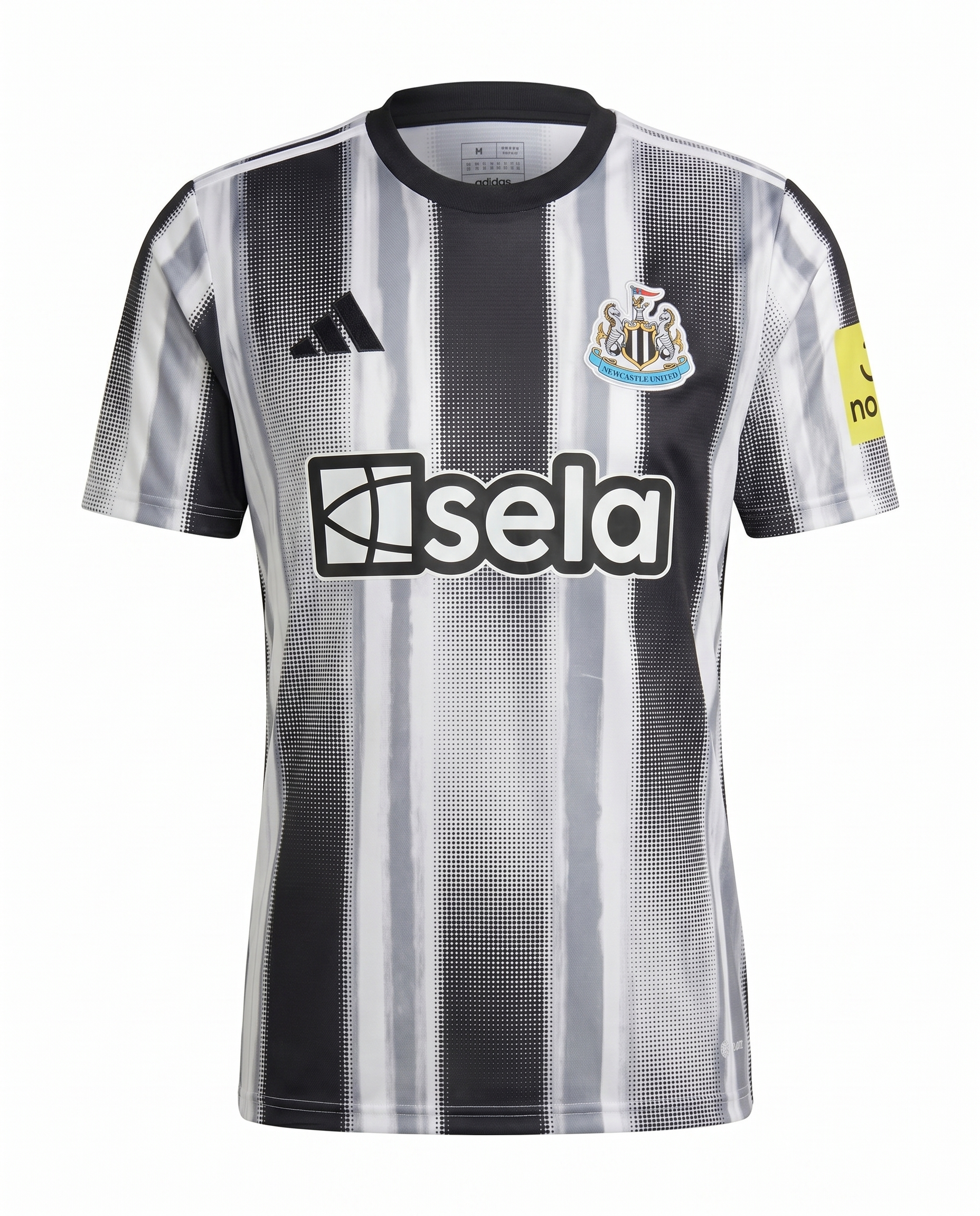 Newcastle 2025-2026