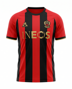 Ogc Nice Domicile 2024-2025