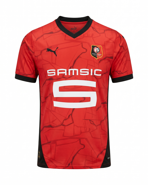 Rennes Domicile 2024-2025