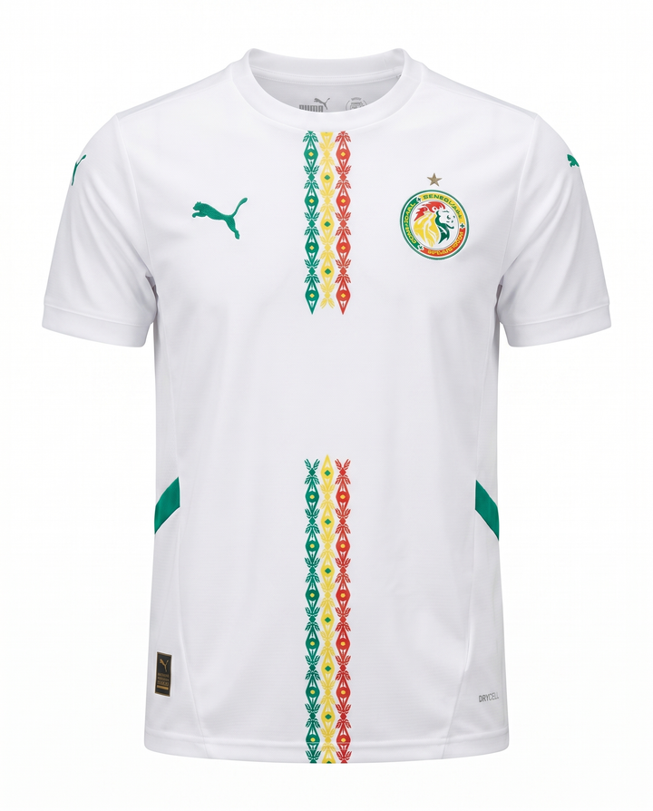Sénégal 2025 Domicile