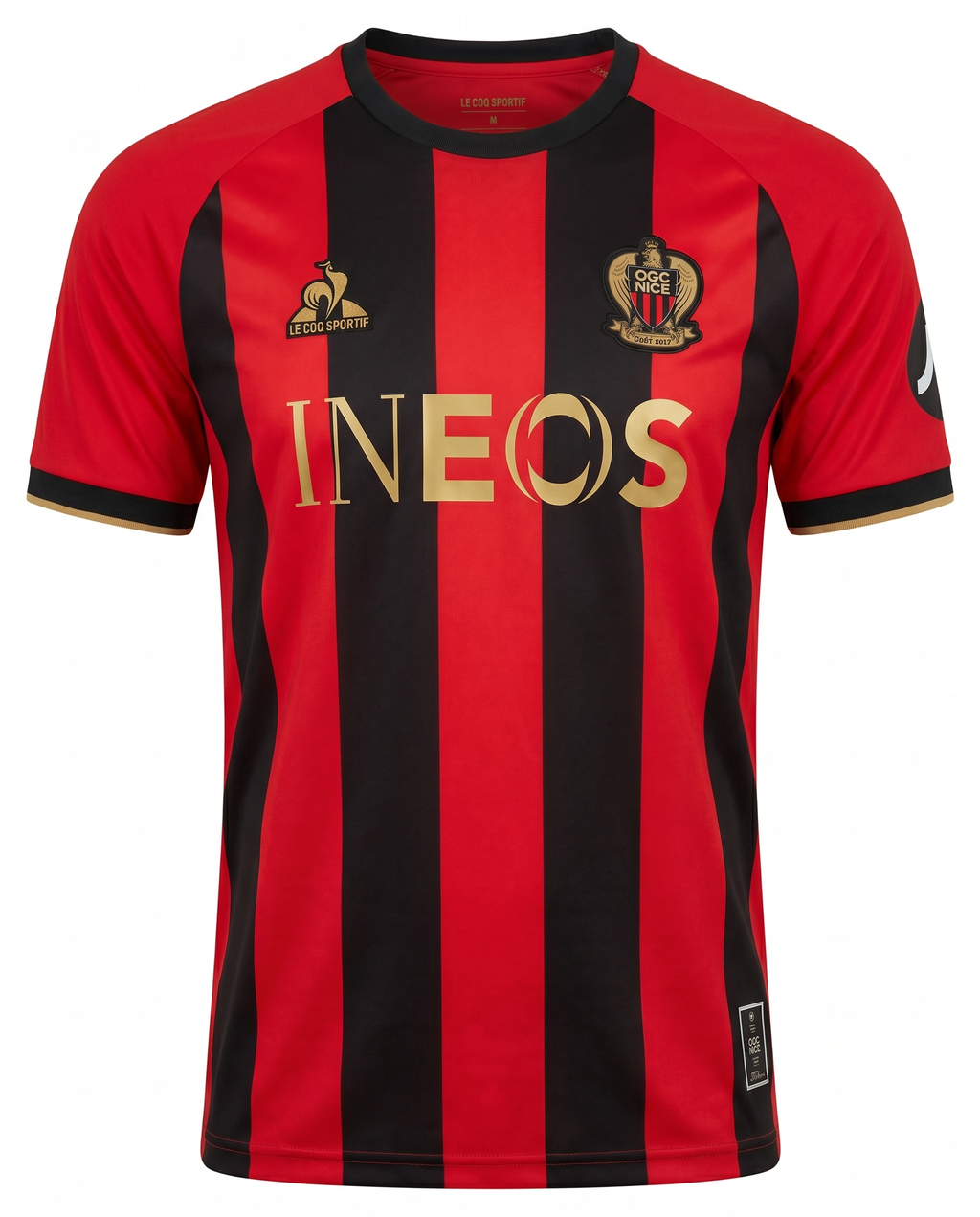 Ogc Nice Domicile 2025-2026