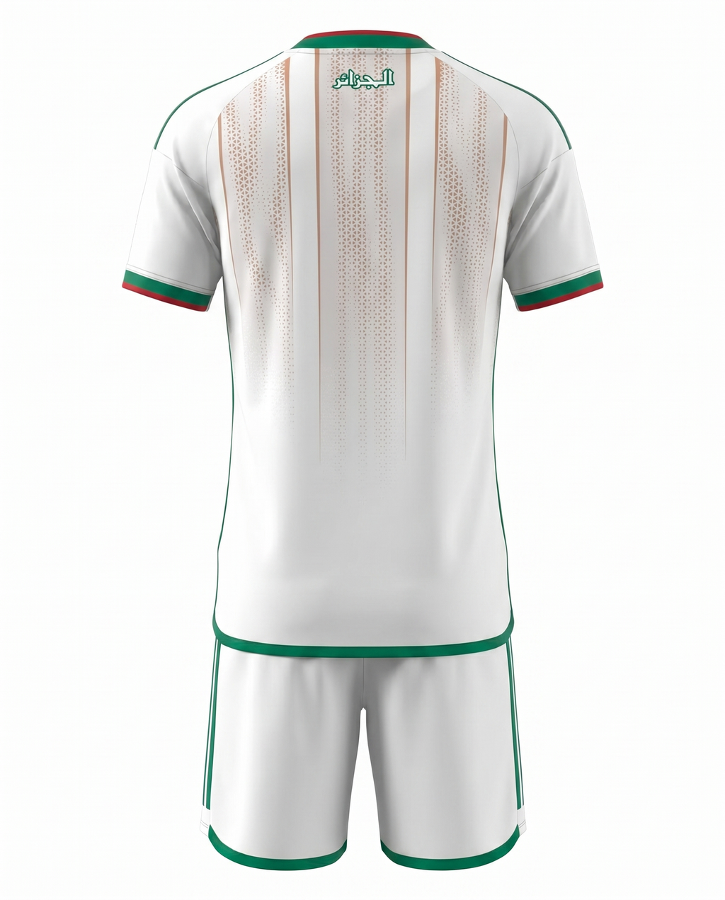 Ensemble Algerie 26/27 Domicile