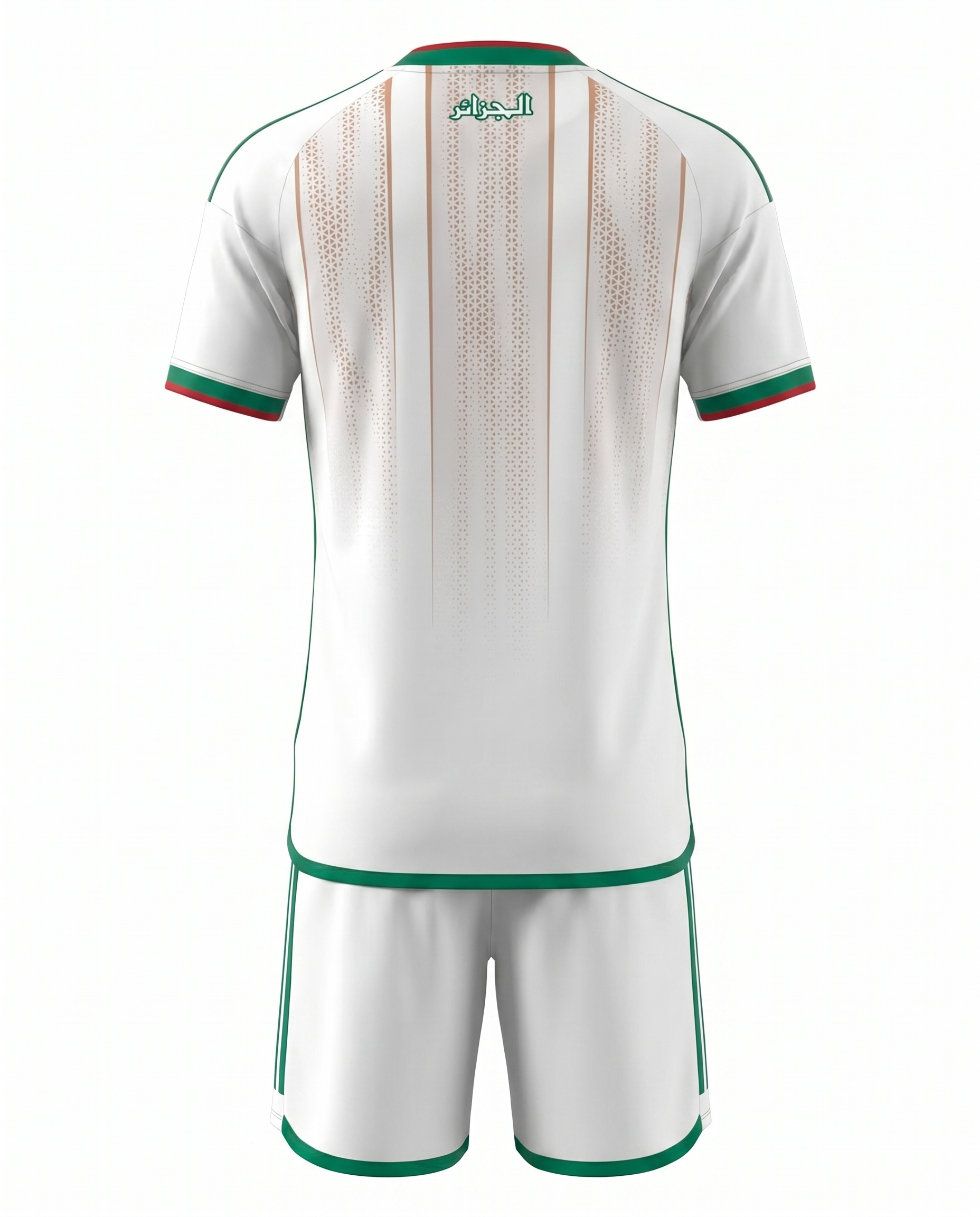 Ensemble Algerie 26/27 Domicile