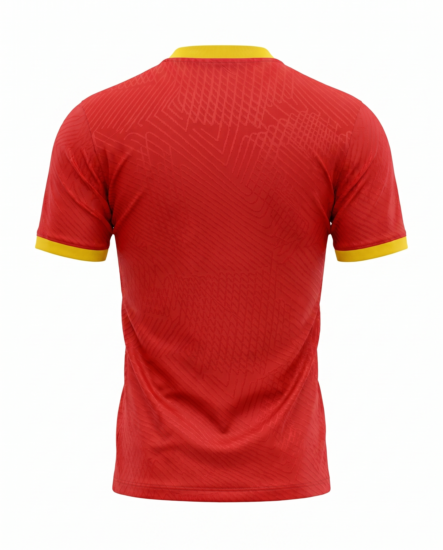 Maillot Fédération Guinéenne de Football 23/24 Domicile Joueur