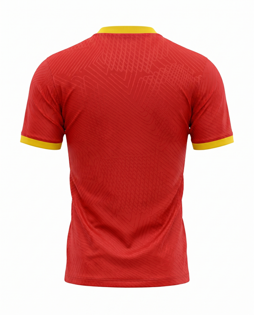 Maillot Fédération Guinéenne de Football 23/24 Domicile Joueur