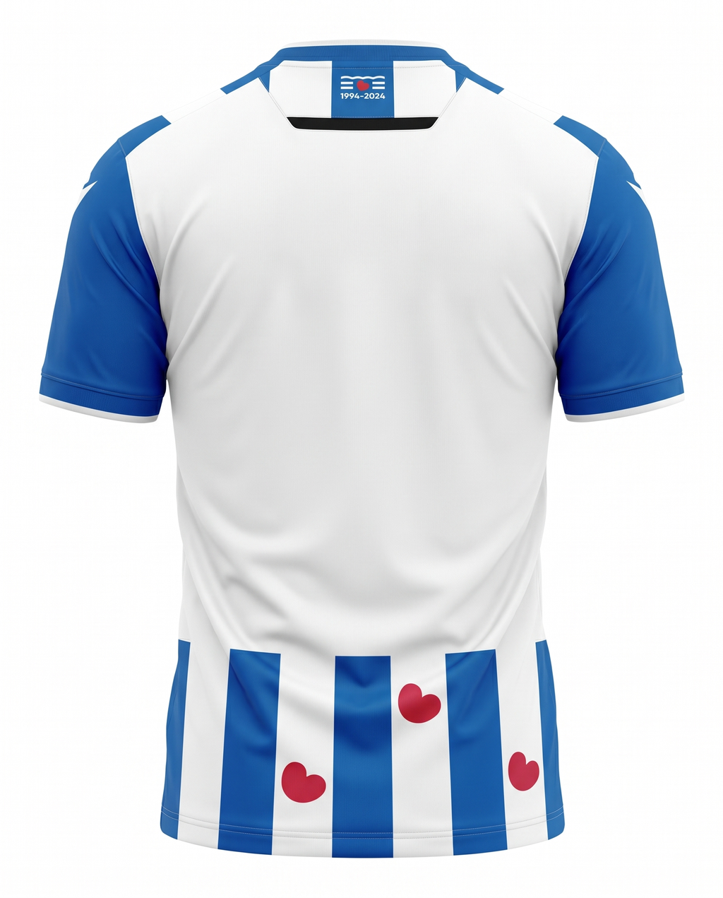 Maillot SC Heerenveen 24/25 Domicile