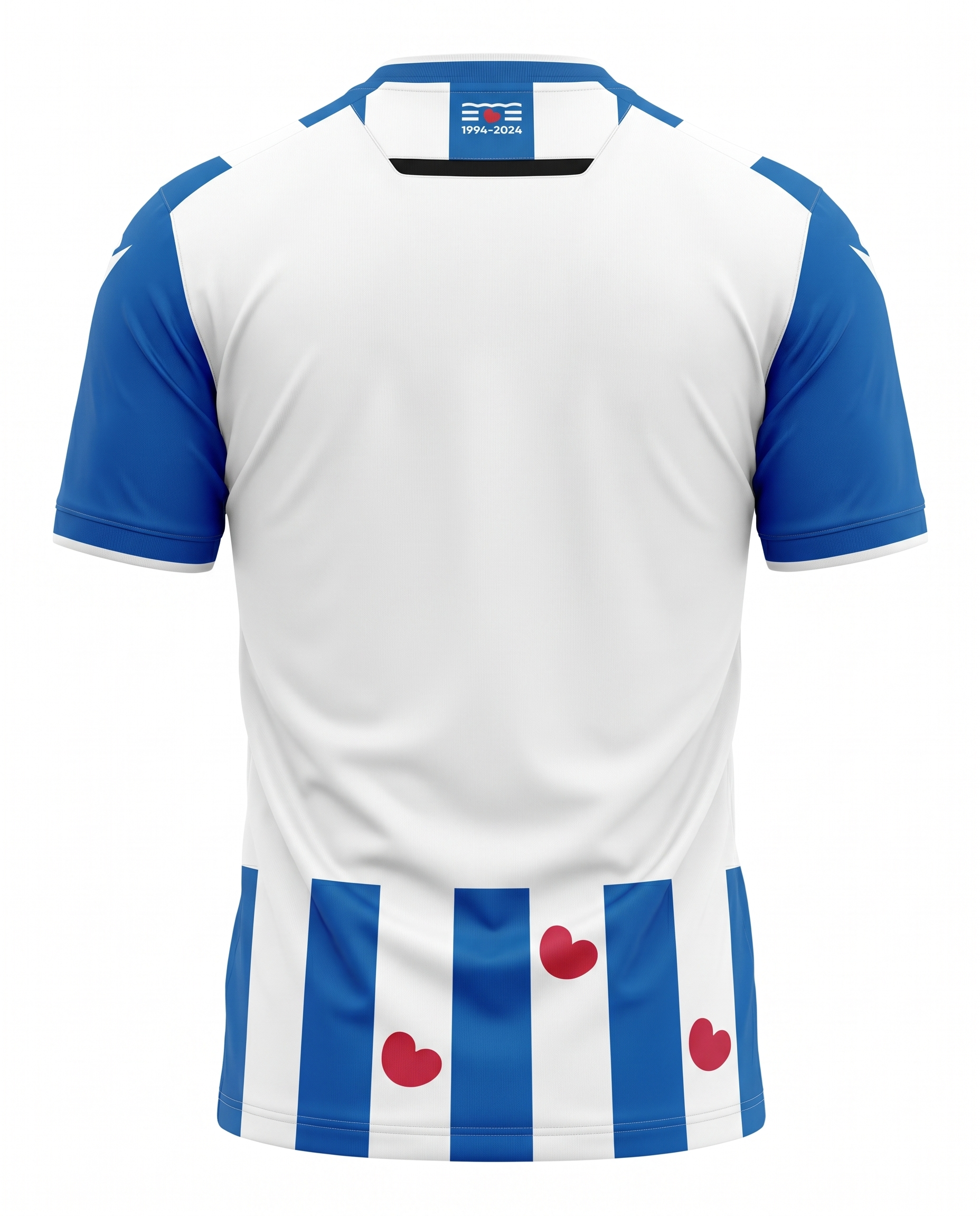 Maillot SC Heerenveen 24/25 Domicile