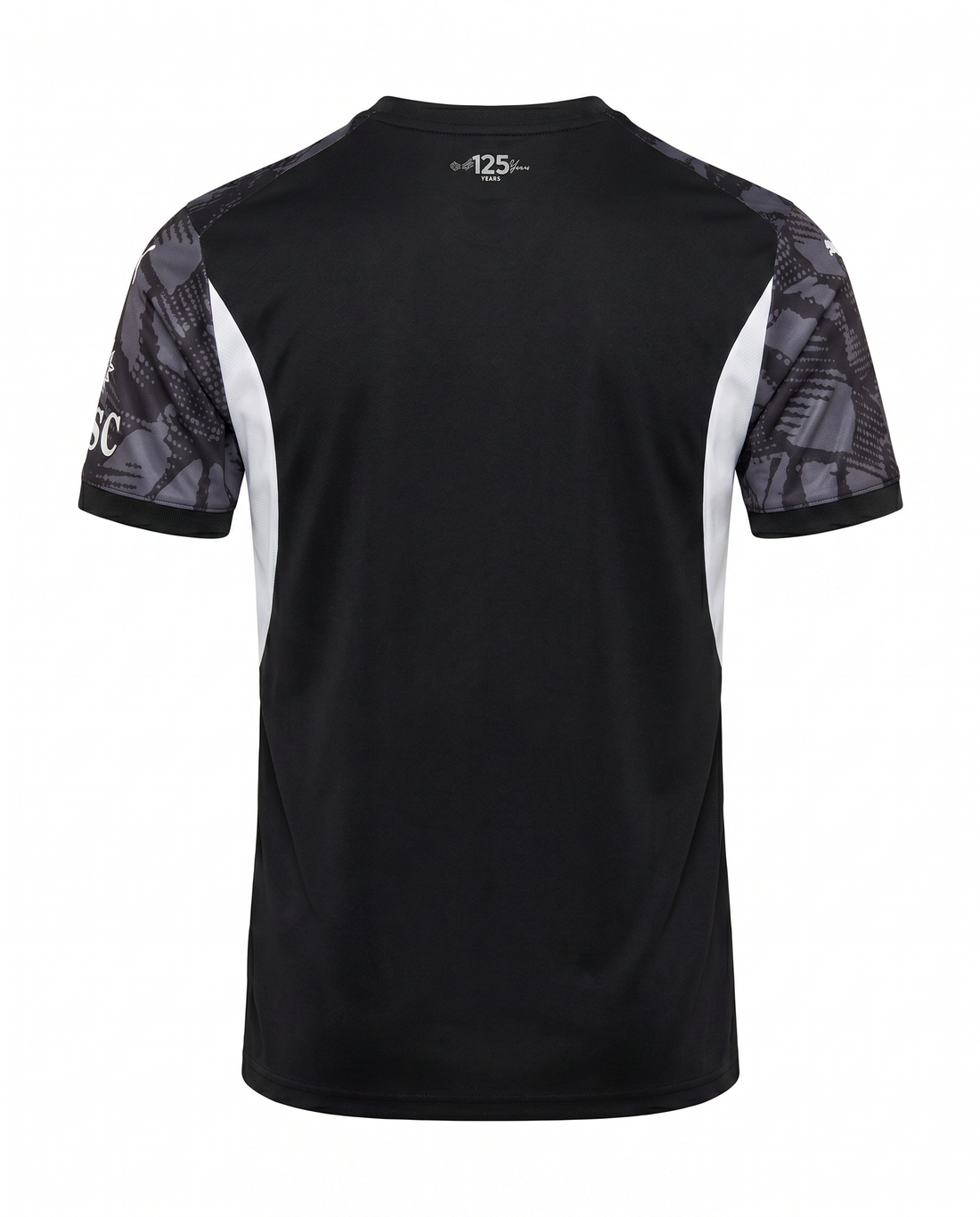 Maillot AC Milan 24/25 Gardien