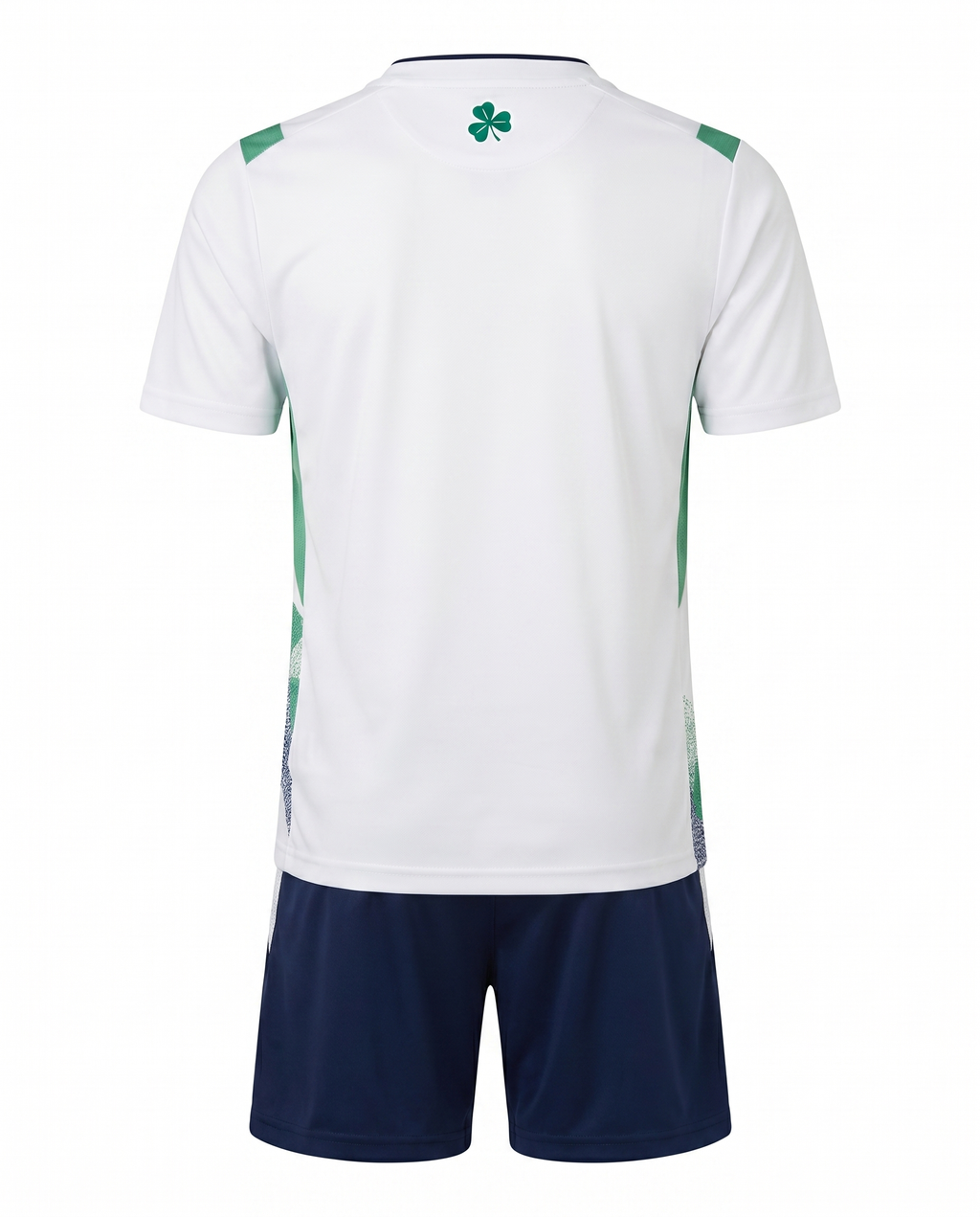 Ensemble Irlande 26/27 Exterieur