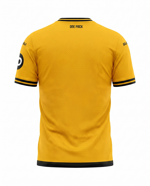 Maillot Wolverhampton Wanderers 24/25 Domicile