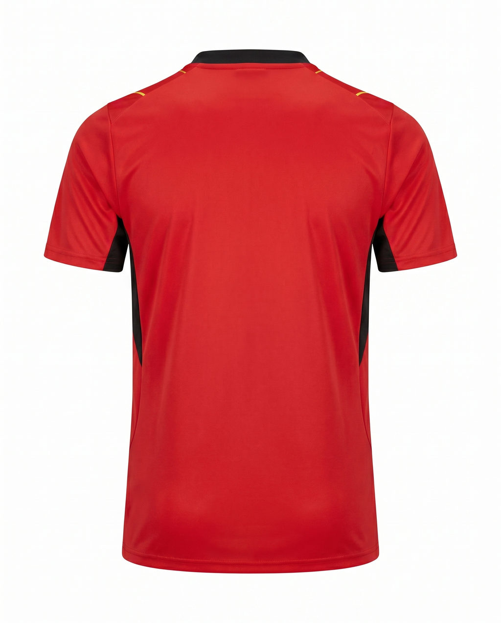 Maillot Ghana 26/27 Edition speciale