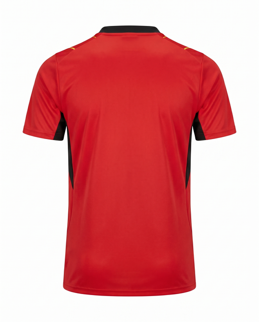 Maillot Ghana 26/27 Edition speciale