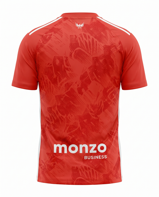Maillot Coventry City 25/26 Exterieur
