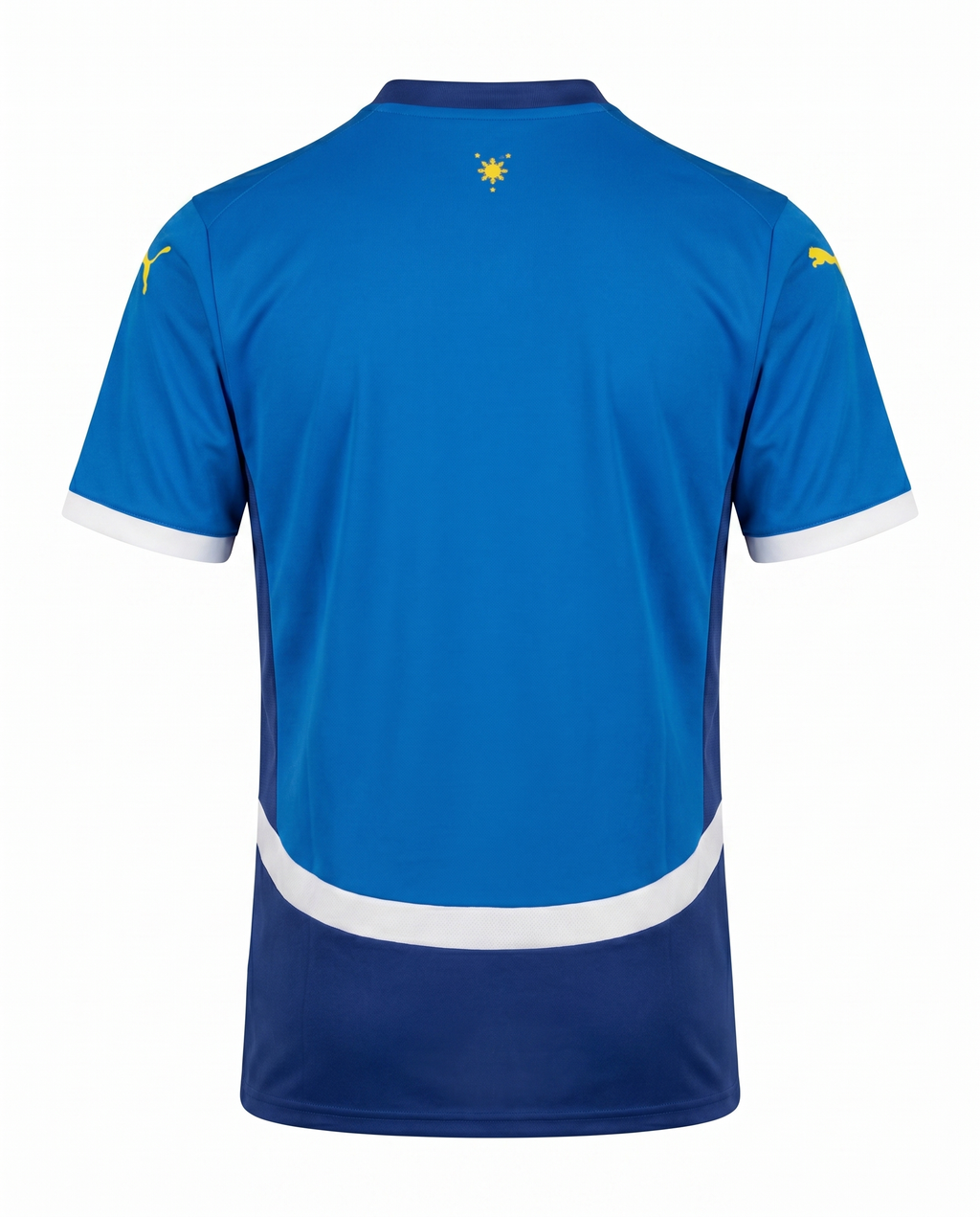 Maillot Philippines 26/27 Domicile