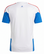 Maillot Colombie 26/27 Entrainement Blanc