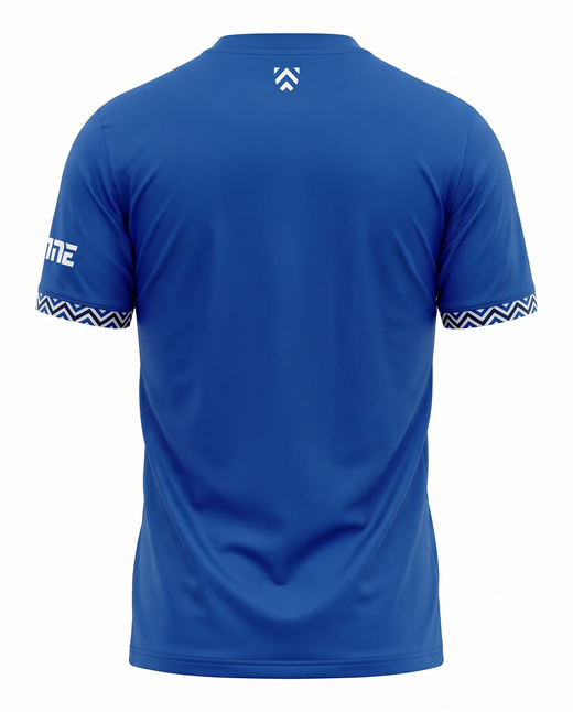 Maillot Arminia Bielefeld 25/26 Domicile