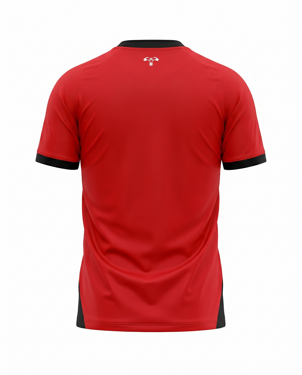 Maillot Jordan National Football Team 26/27 Exterieur
