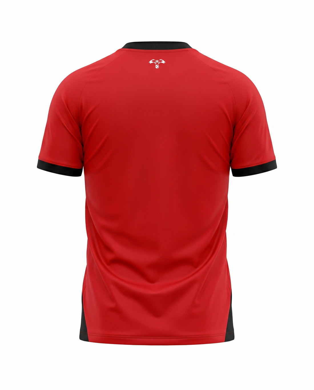Maillot Jordan National Football Team 26/27 Exterieur