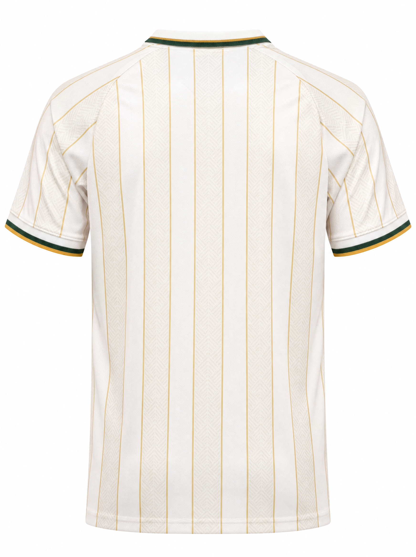 Maillot Afrique du Sud 26/27 Edition speciale Blanc