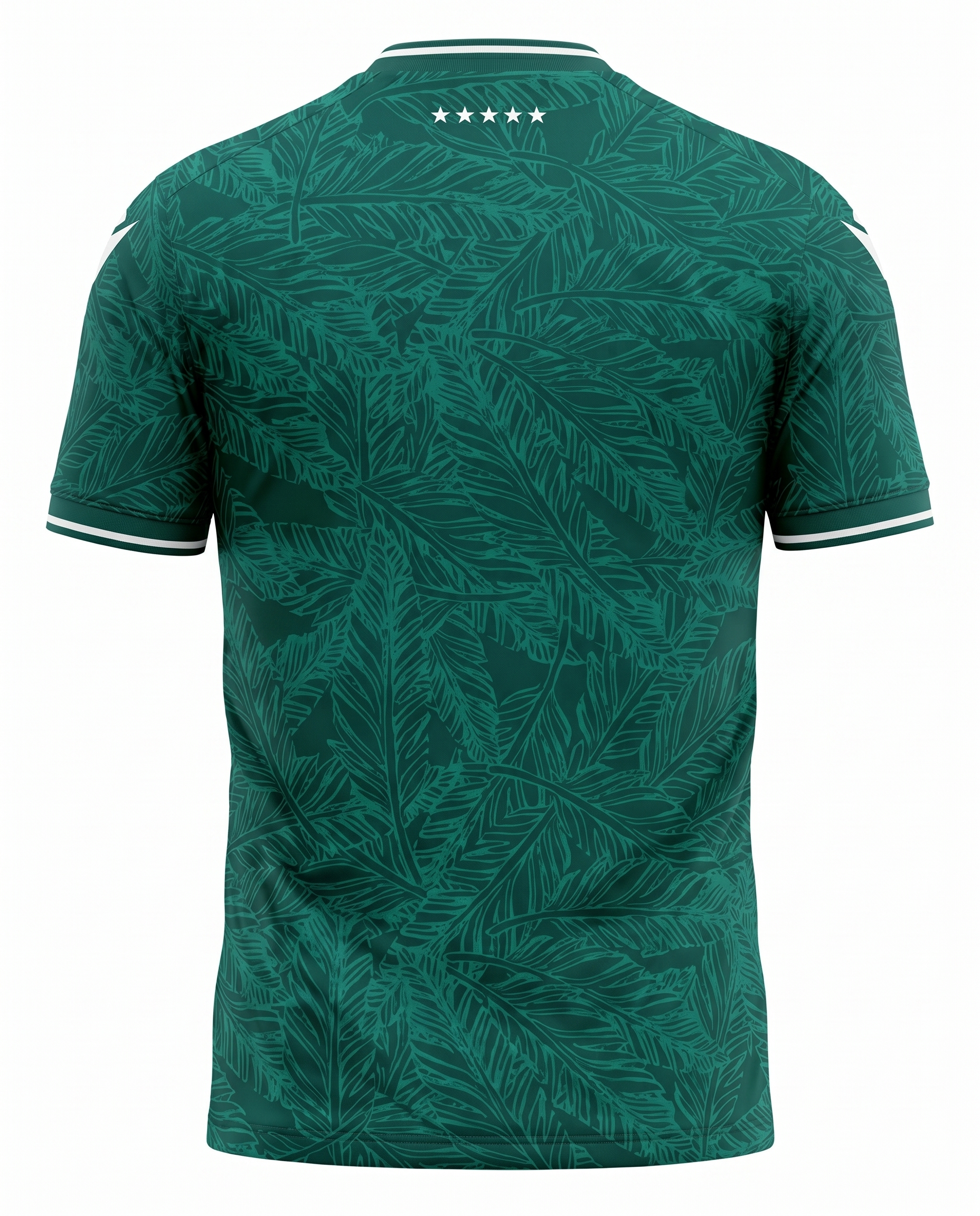 Maillot Club de Deportes Santiago Wanderers 24/25 Domicile