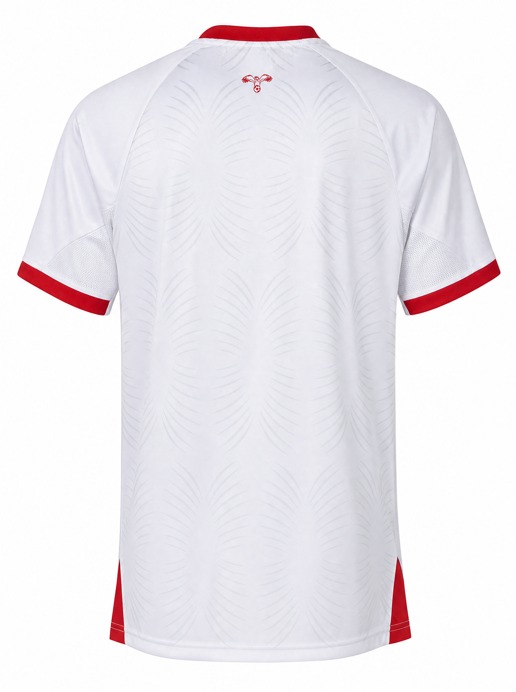 Maillot Jordanie 26/27 Domicile