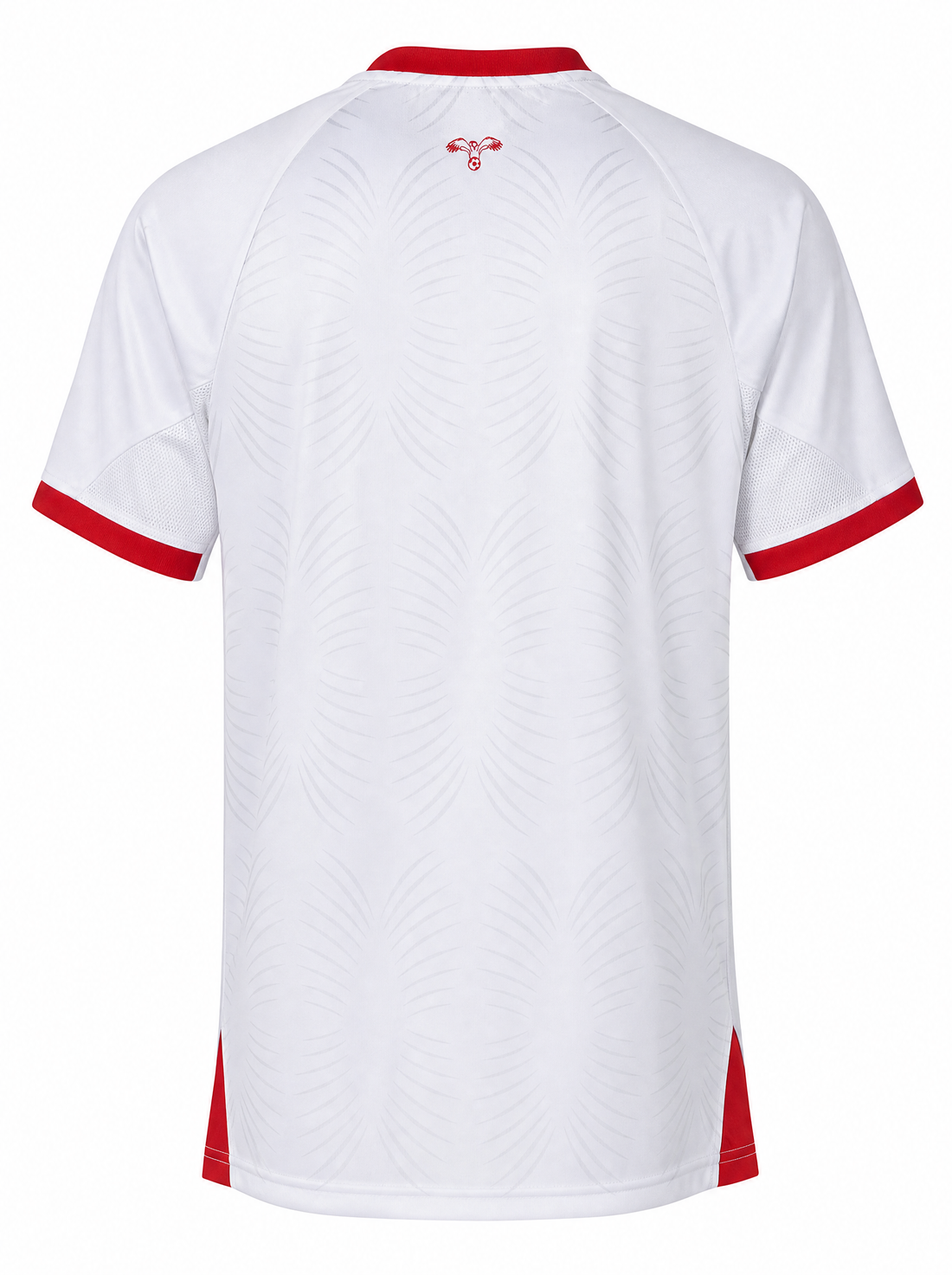 Maillot Jordanie 26/27 Domicile