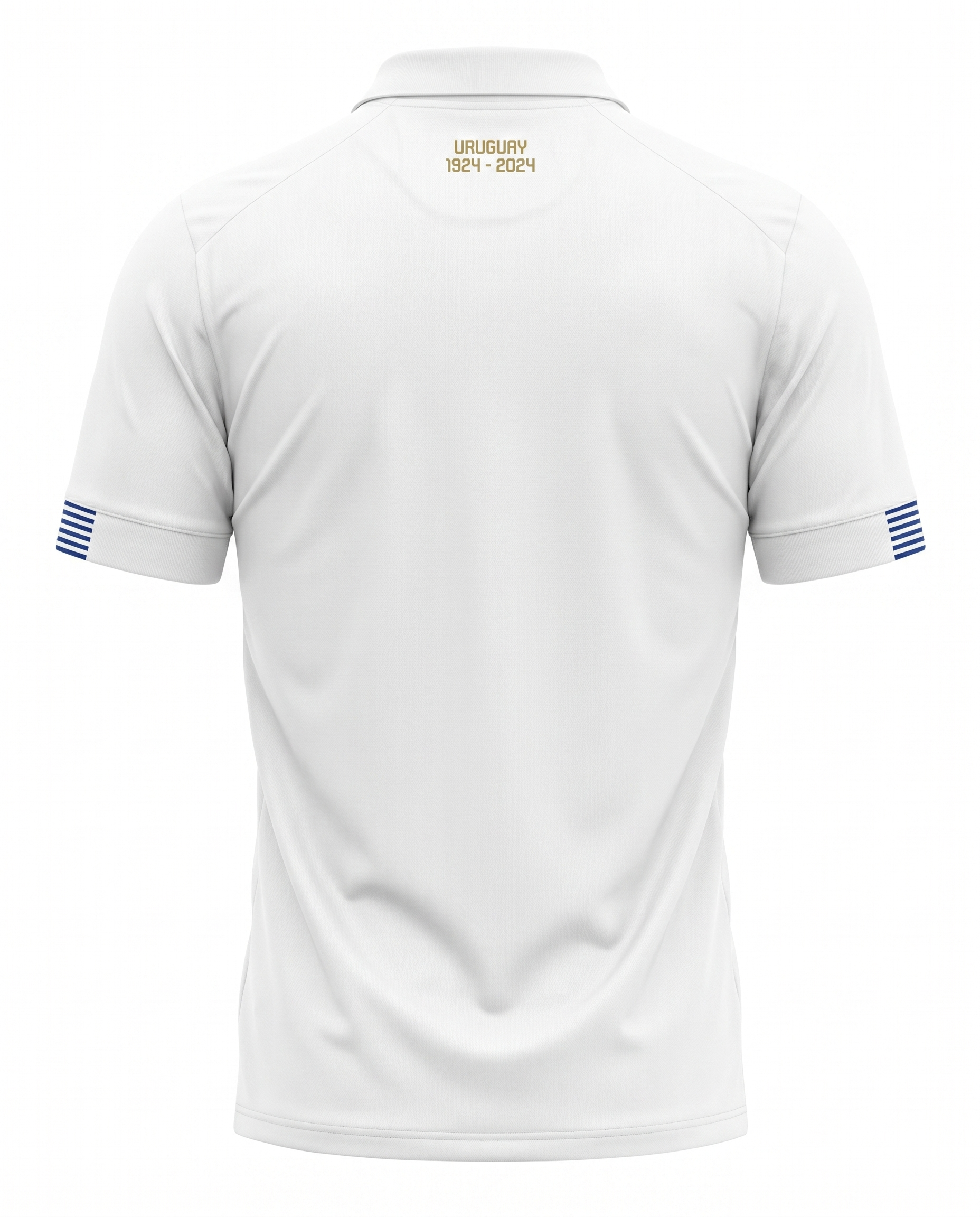 Maillot Uruguay 24/25 Exterieur