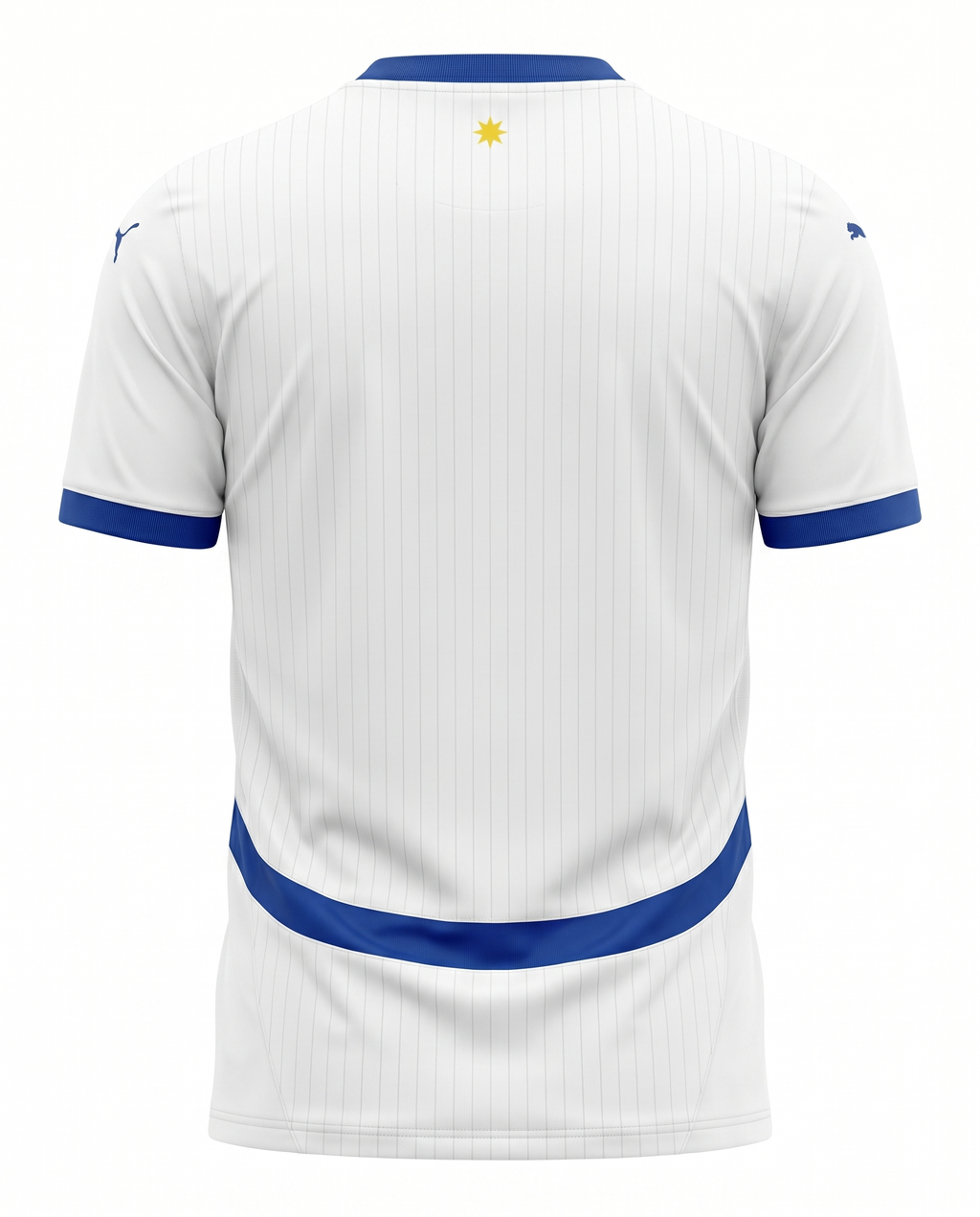 Maillot Philippines 26/27 Exterieur