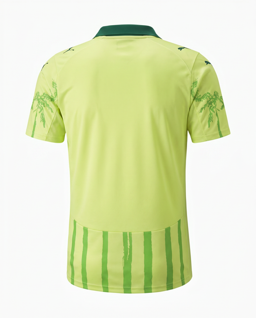Maillot Sociedade Esportiva Palmeiras 25/26 Edition speciale