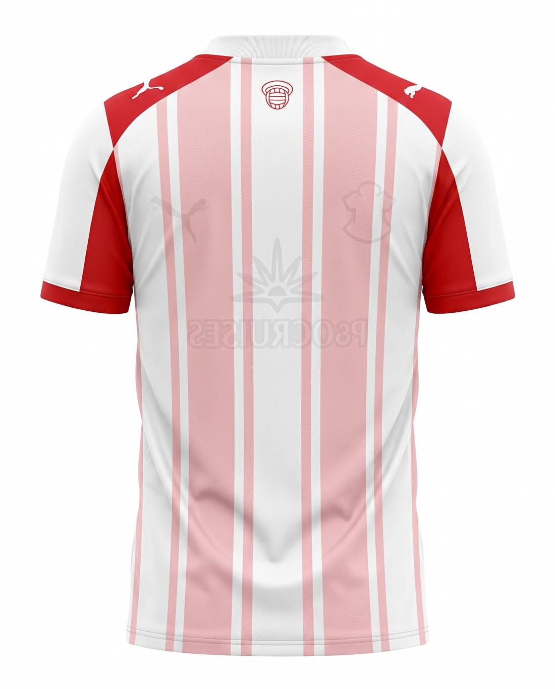 Maillot Southampton 25/26 Domicile